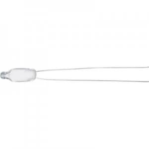 Image of Glow lamp 110 V 120 V 220 V 250 V Wire ends Warm white