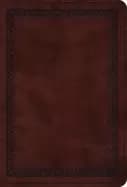 Image of esv value large print compact bible