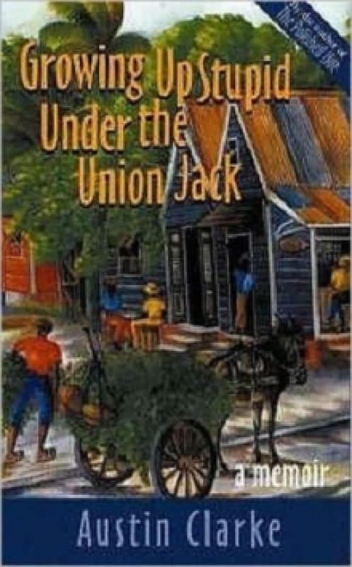 Image of Growing Up Stupid Under the Union Jack Paperback / softback