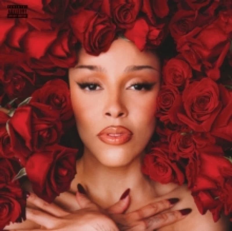 Image of Vie Vinyl