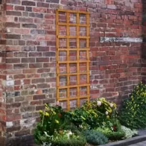 Image of Forest Garden Heavy Duty Trellis 180cm x 60cm (5 Pack) in Golden Brown Timber