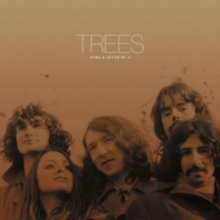 Image of Fore & After Vinyl
