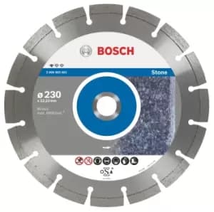 Image of Bosch 2608602698 300x22.23mm DIAMOND DISC STONE LPP