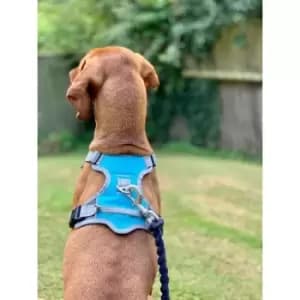 Image of Dog Travel Harness - Medium - 41103 - Henry Wag