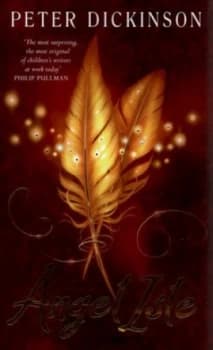 Image of Angel Isle by Peter Dickinson Hardback