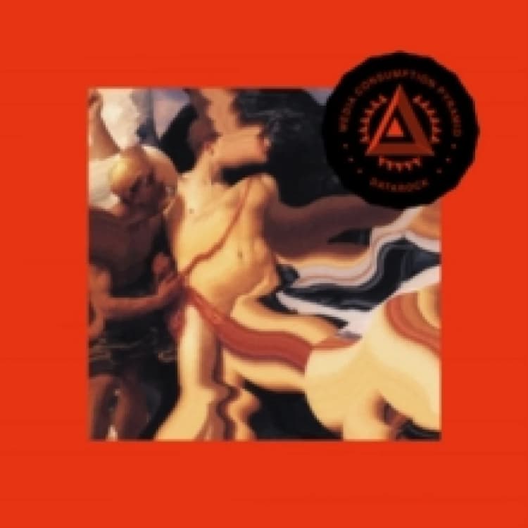 Image of Media Consumption Pyramid Vinyl