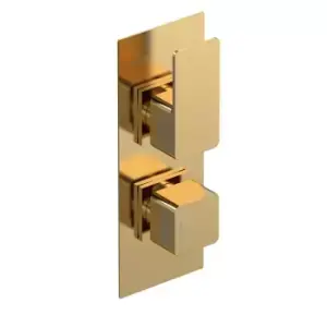 Image of Nuie Twin Thermostatic Valve With Diverter - Brushed Brass