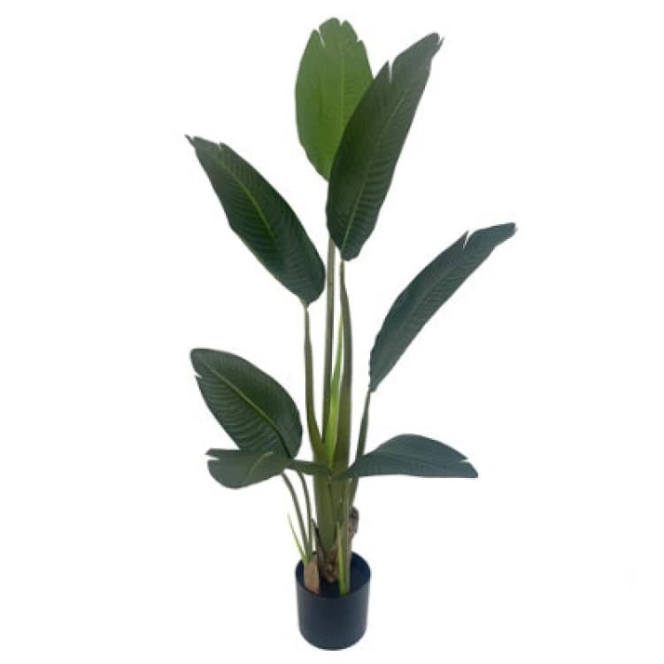 Image of Leaf 120cm UV Traveller Banana Palm Tree Green