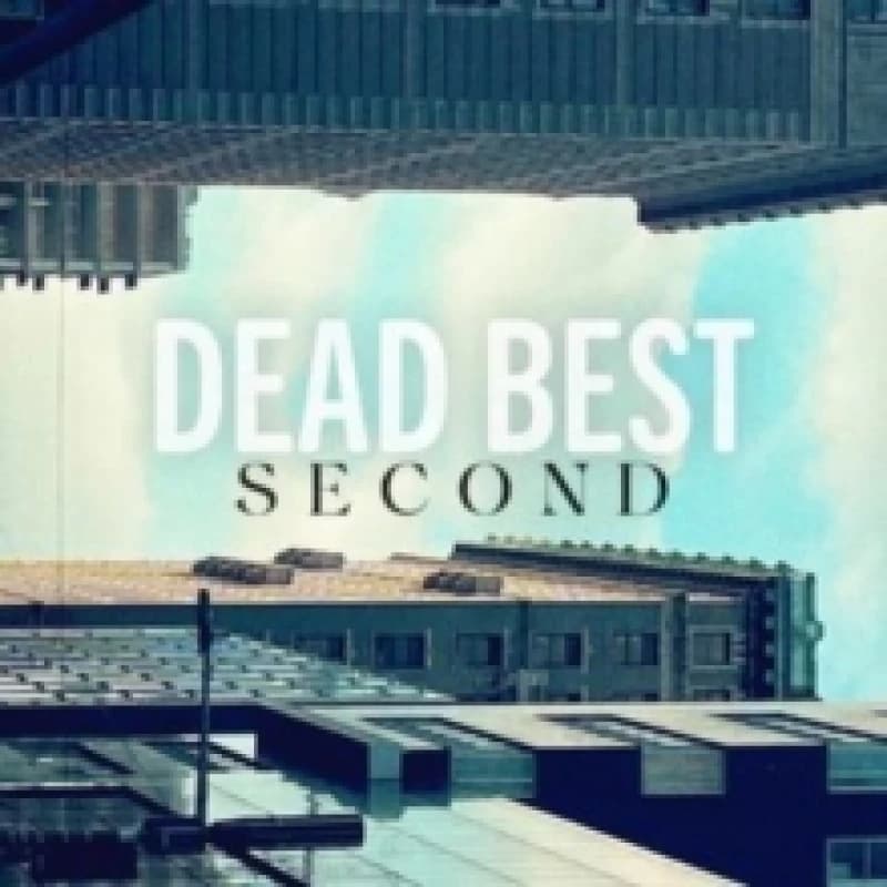 Image of Second Vinyl