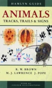 Image of Animals Tracks Trails and Signs by R.W Brown Paperback