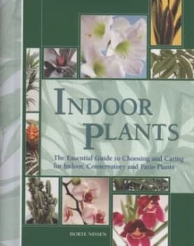 Image of Indoor Plants by Dorte Nissen Hardback