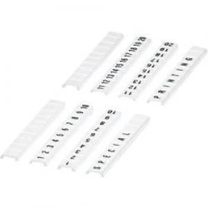 Image of Phoenix Contact 08086260001 Labelling Accessory Compatible with details Terminal width 4.28 mm
