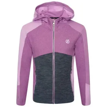 Image of Dare 2b Hero core stretch Midlayer - DstyLav/Lupi