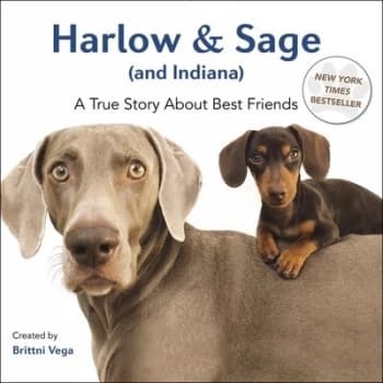 Image of Harlow & Sage and Indiana by Brittni Vega