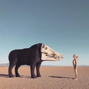 Image of Man Man - Dream Hunting In The Valley Of The In-Between Vinyl