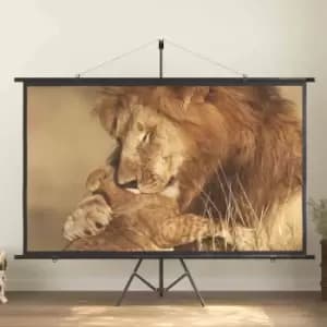 Image of vidaXL 100" 16:9 Projection Projector Screen