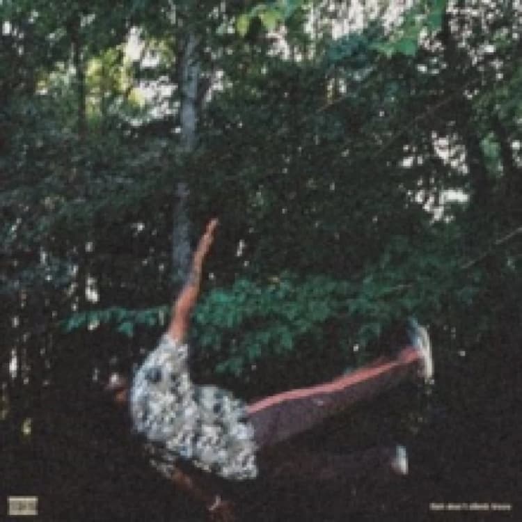 Image of Fish Don't Climb Trees Vinyl