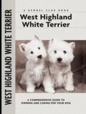 Image of west highland white terrier