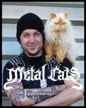 Image of metal cats