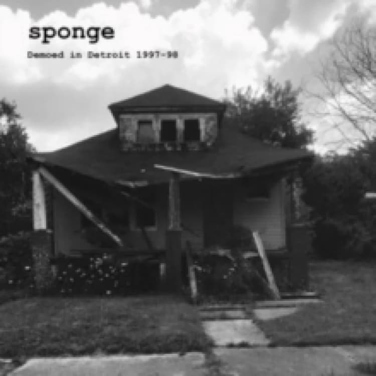 Image of Demoed in Detroit 1997-98 Vinyl