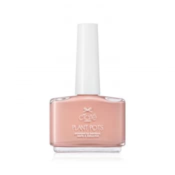 Image of Plant Pots - Sweet Blush