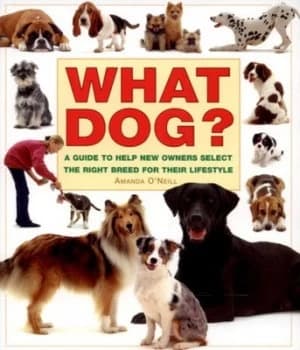 Image of What Dog by Amanda Oneill Paperback