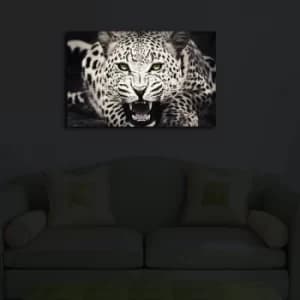 Image of 4570?ACT-43 Multicolor Decorative LED Lighted Canvas Painting