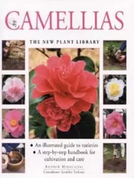 Image of Camellias by Andrew Mikolajski