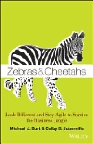 Image of zebras and cheetahs