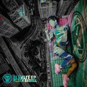 Image of Black Barrel - Elevate Vinyl