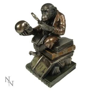 Image of Darwinism of Evolutionary Theory Monkey Figurine