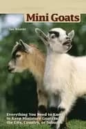 Image of mini goats everything you need to know to keep miniature goats in the city