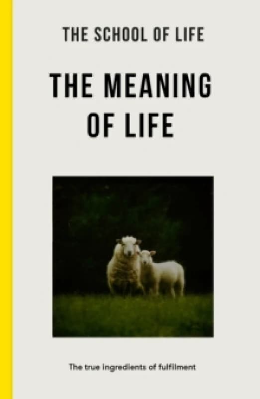Image of The Meaning of Life : the true ingredients of fulfilment Paperback / softback
