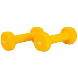 Image of Neo Direct - 1KG Pair of Neoprene Dumbbells Weights - Solid Iron Construction