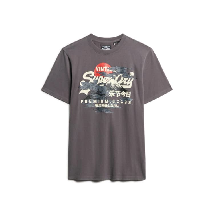 Image of Superdry Tokyo Graphic T-Shirt - Grey Grey S