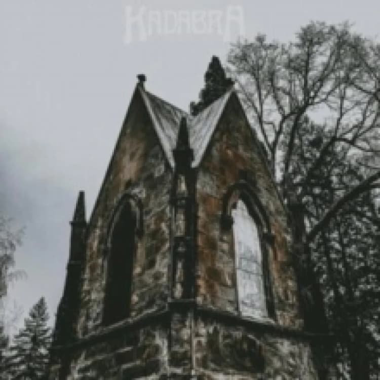 Image of Umbra Vinyl