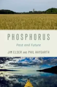 Image of Phosphorus : Past and Future