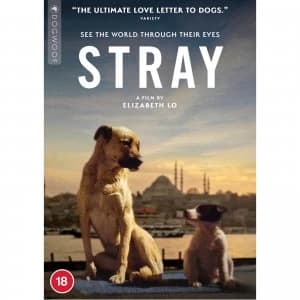 Image of Stray - DVD