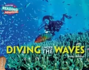 Image of Diving under the waves 2 by Andy Belcher