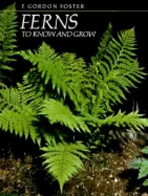 Image of ferns to know and grow