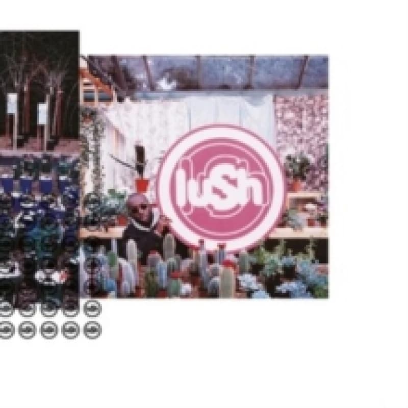 Image of Lovelife Vinyl