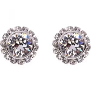 Image of Ted Baker Ladies Stainless Steel Sully Crystal Chain Stud Earring