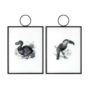Image of Gallery Interiors Exotic Birds Hanging Art Set Of 2 Wall Art Outlet