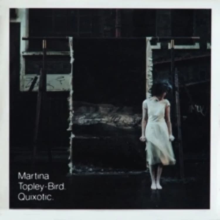 Image of Quixotic (Expanded Edition) Vinyl