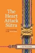 Image of heart attack sutra a new commentary on the heart sutra