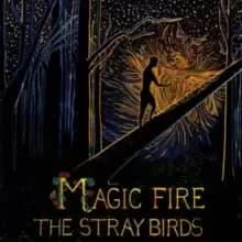 Image of Magic Fire