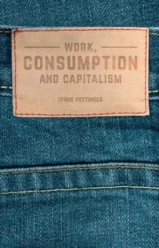 Image of Work Consumption and Capitalism by Lynne Pettinger Paperback