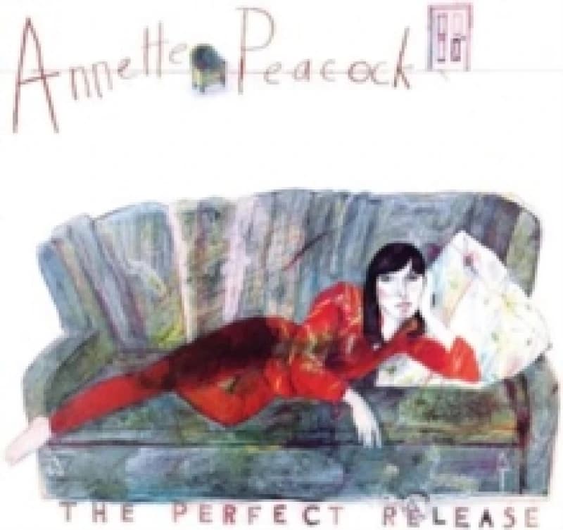 Image of The Perfect Release Vinyl
