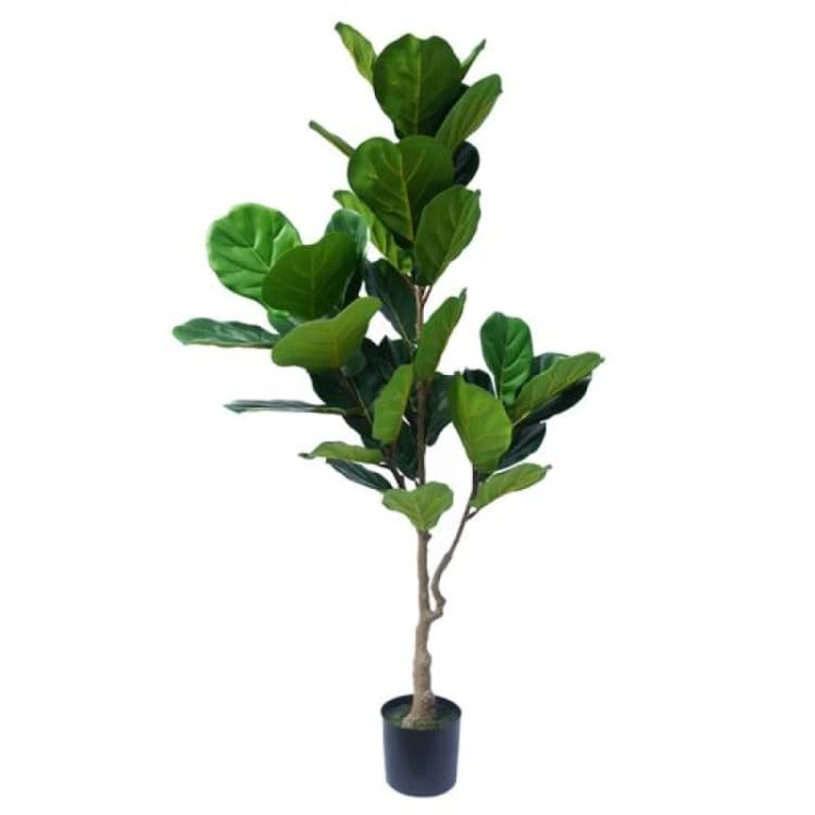 Image of Leaf Large Fiddle Leaf Fig Tree Artificial 150cm Premium Plant Green