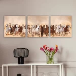 Image of P327467 Multicolor Decorative Canvas Painting (3 Pieces)